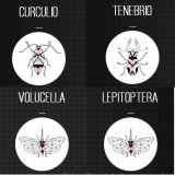 Gamme CURIOSITES